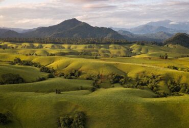 PRP Regional North Queensland